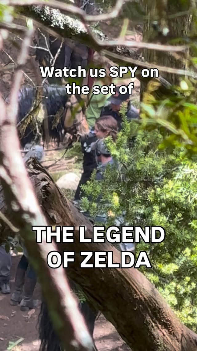 The Legend of Zelda
