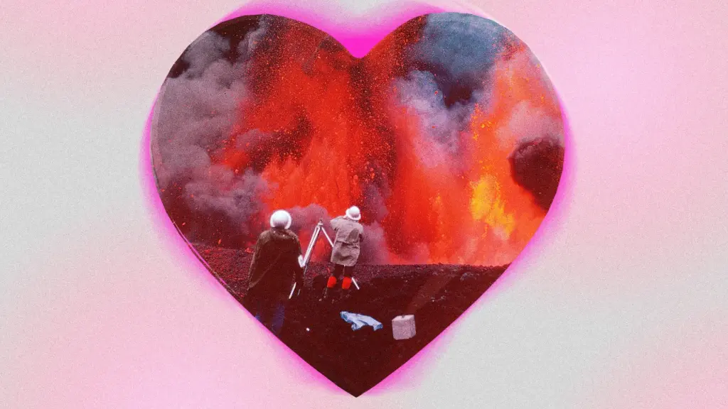 بهترین مستندهای حیات وحش