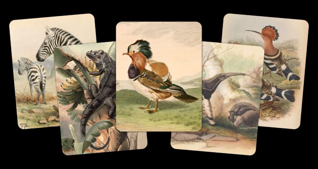 بهترین بازی های IOS سال ۲۰۲۵