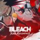 Bleach: Soul Resonance