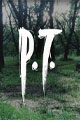 P.T. (Demo)