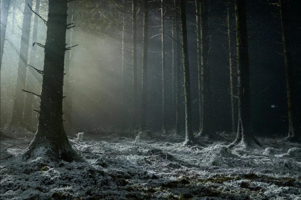 اولین تصویر از فیلم Werwulf