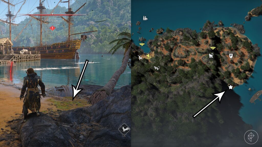 راهنمای بازی Assassin's Creed Black Flag Resynced